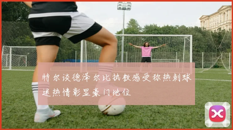 特尔谈德泽尔比执教感受称热刺球迷热情彰显豪门地位