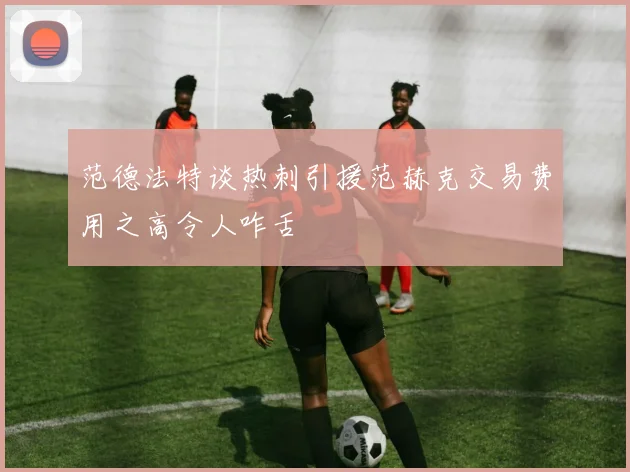范德法特谈热刺引援范赫克交易费用之高令人咋舌