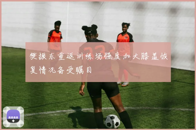 樊振东重返训练场强度加大膝盖恢复情况备受瞩目